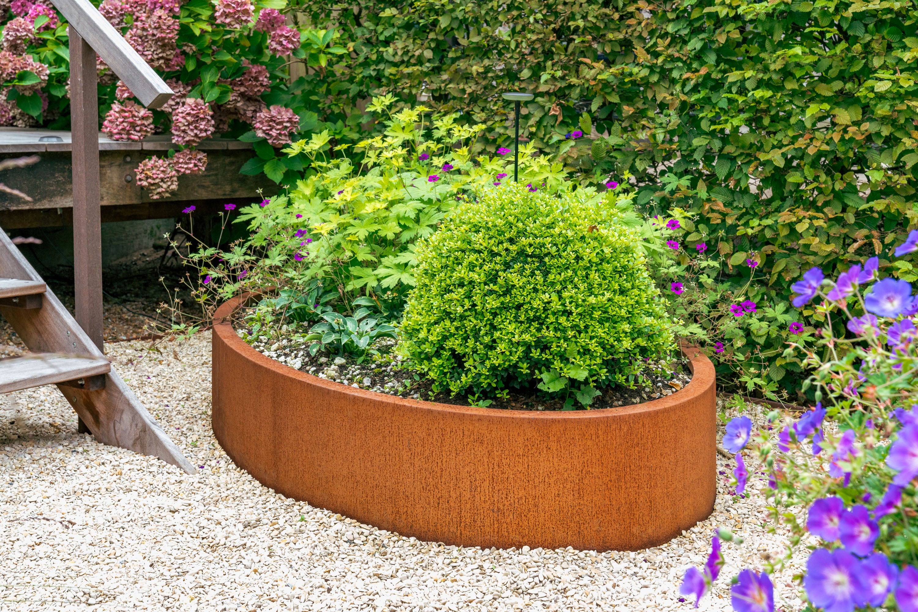 curved corten garden planter with green shrub and flowers in a garden setting