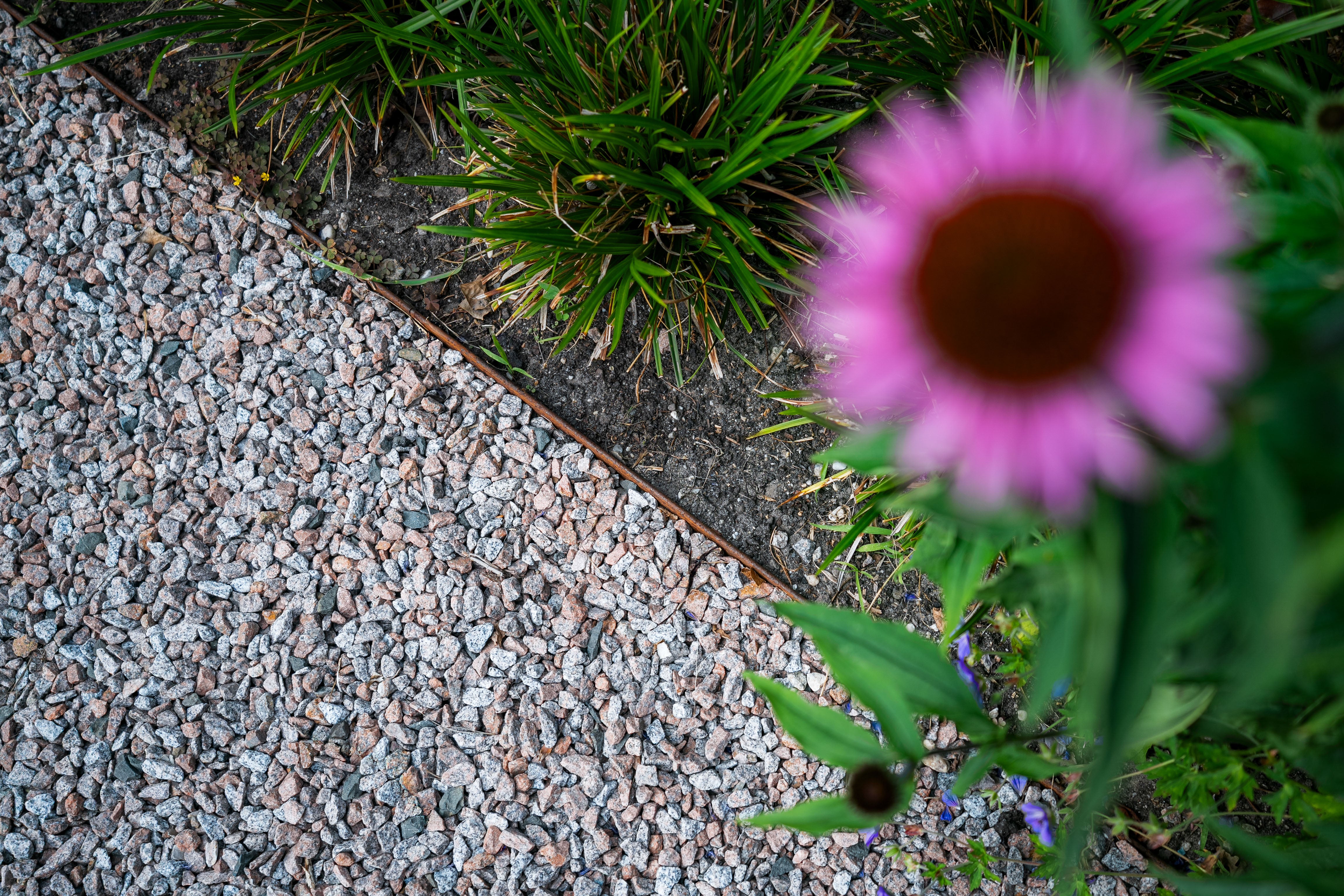 Folded Corten Garden Edging