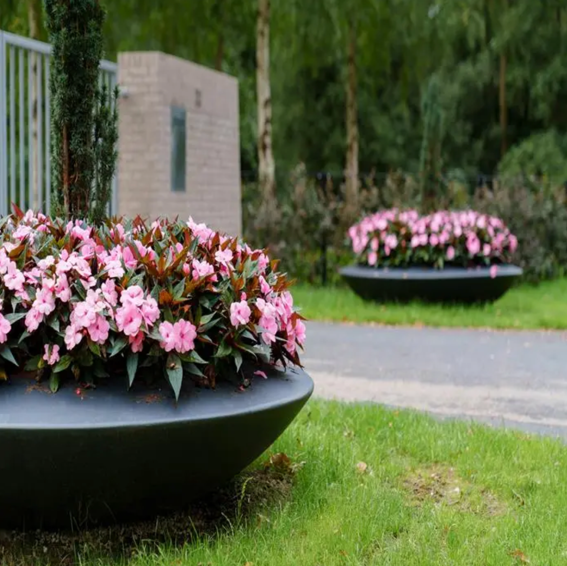 Malva Fibreglass Bowl Planter