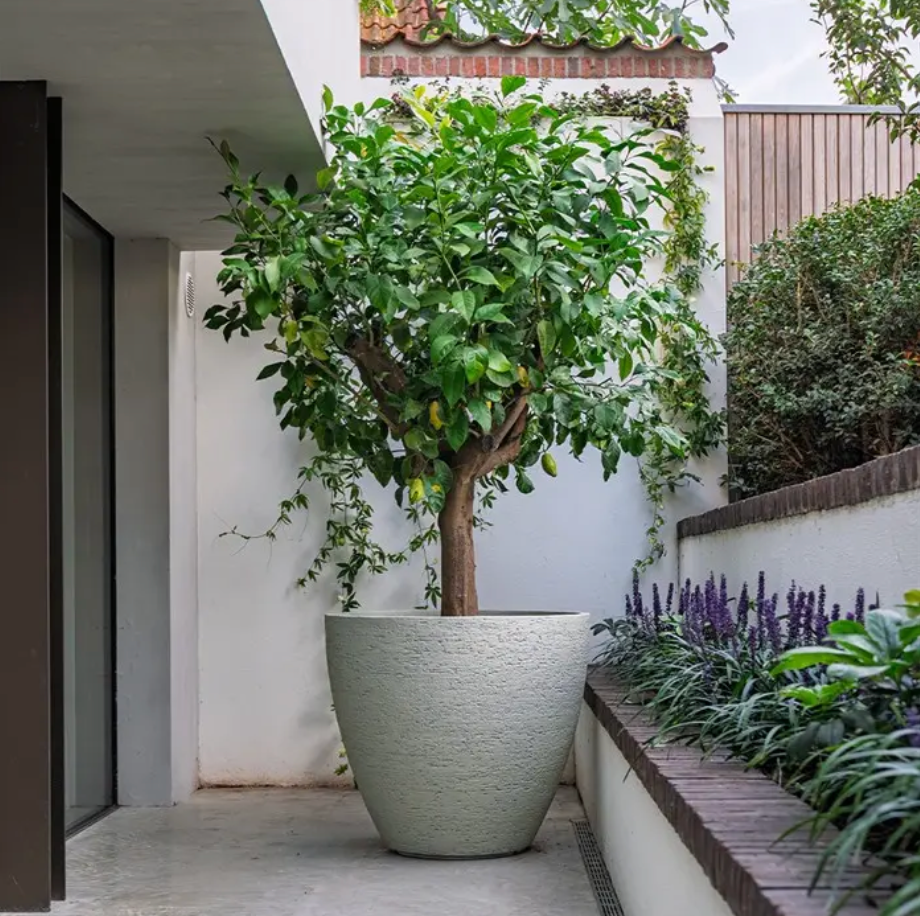 Liv Stonecore Planter