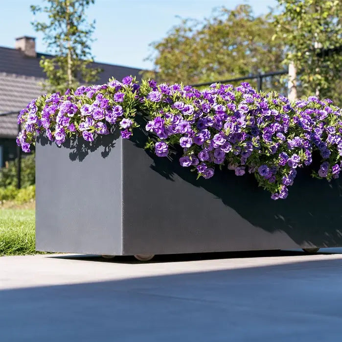 Carrez Fibreglass Square planter with wheels