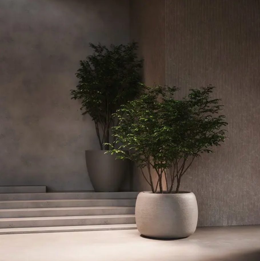 Two potted plants in a modern indoor setting with neutral tones.