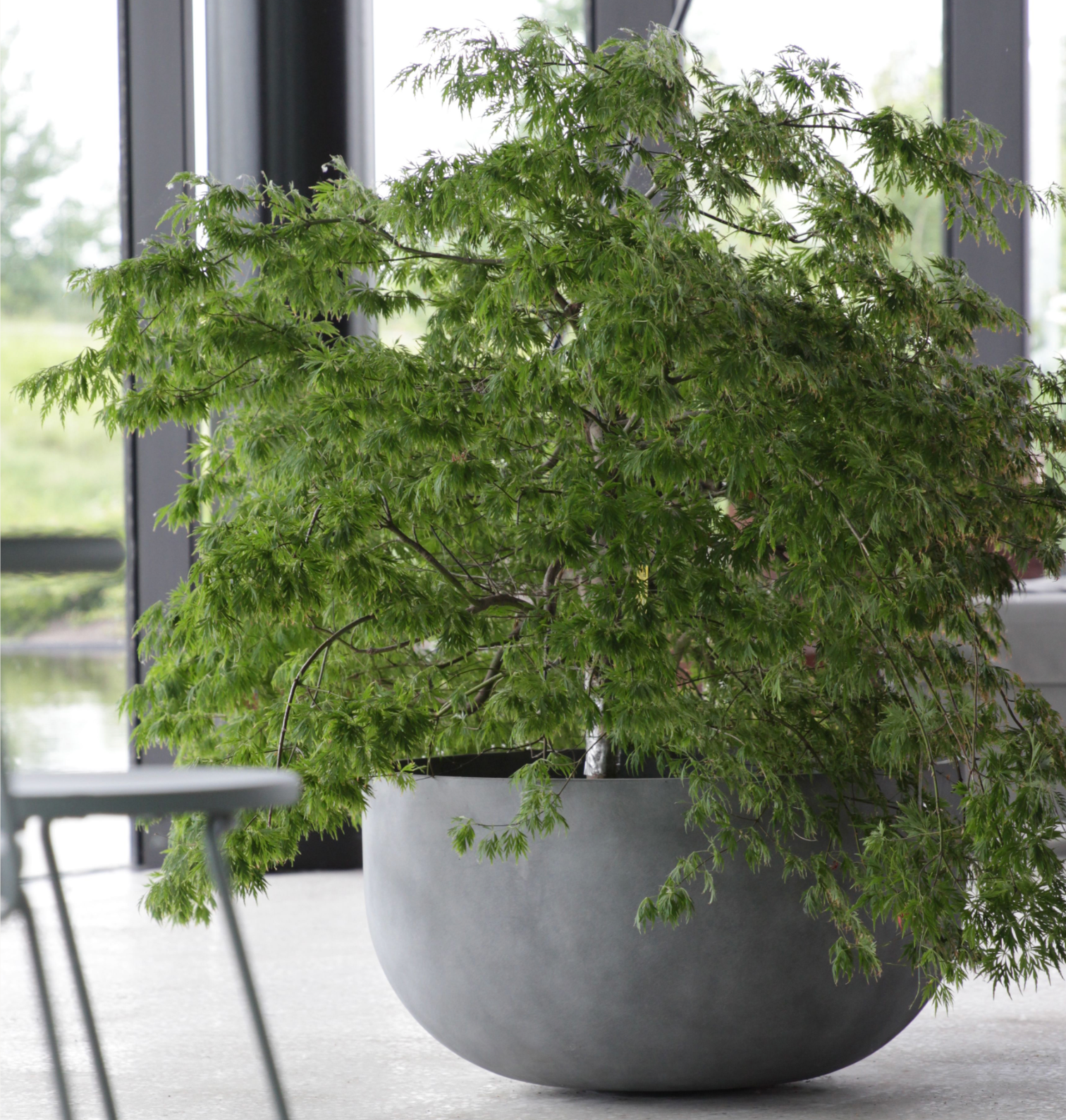 Roco Cohesa Round Low Planter