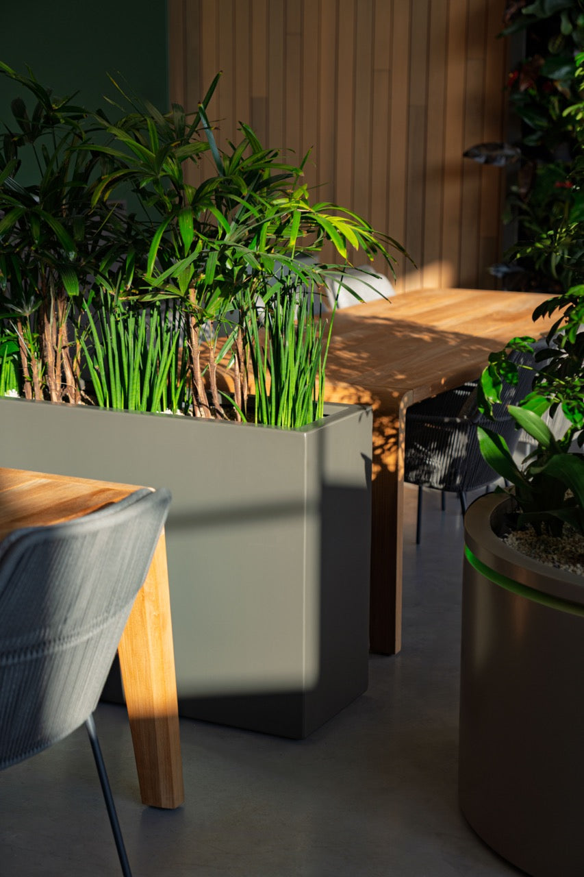 Outdoor setting with plants in large rectangular planters and wooden furniture.