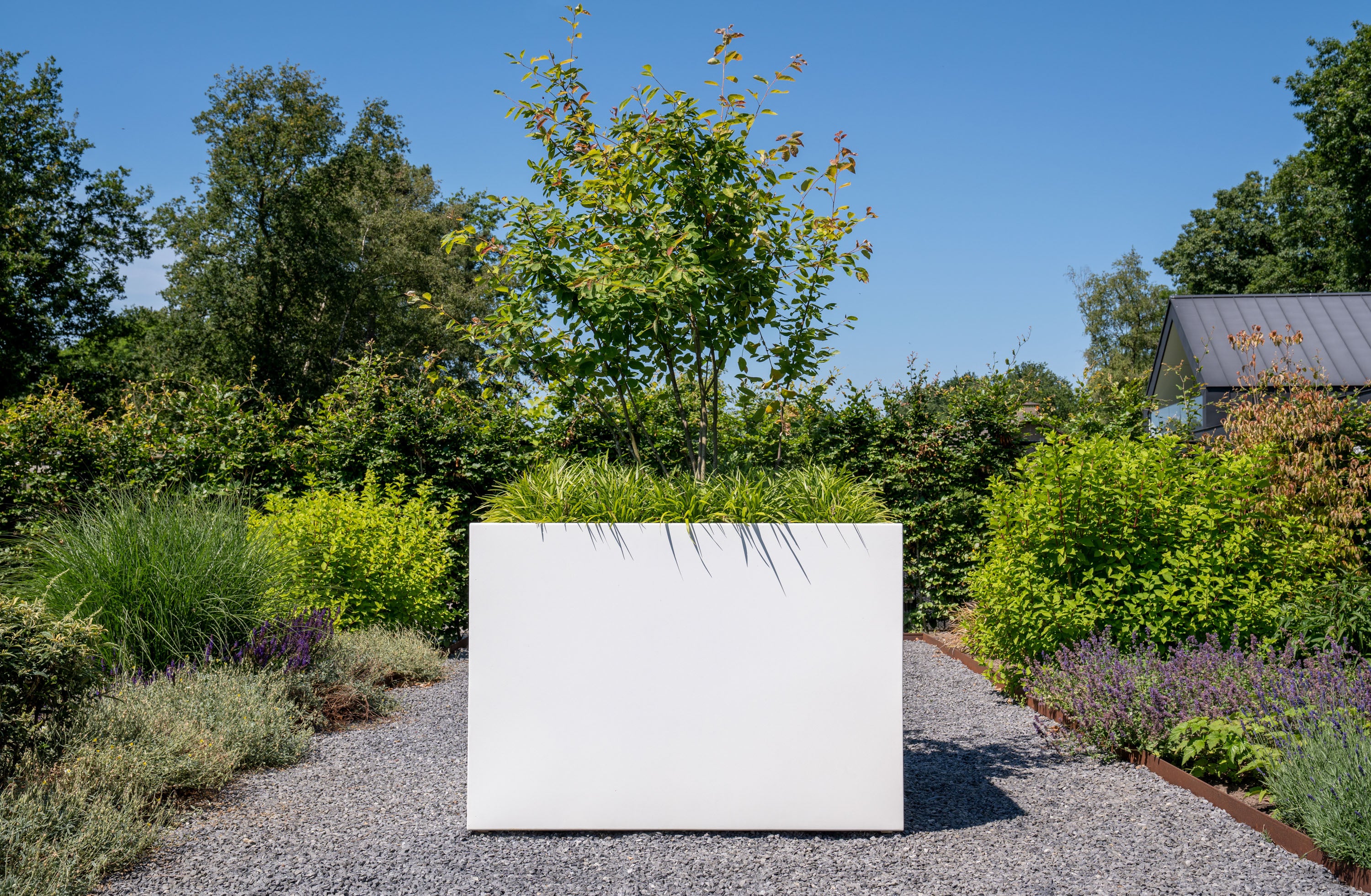 white square planter planted with tree and grass on gravel in garden