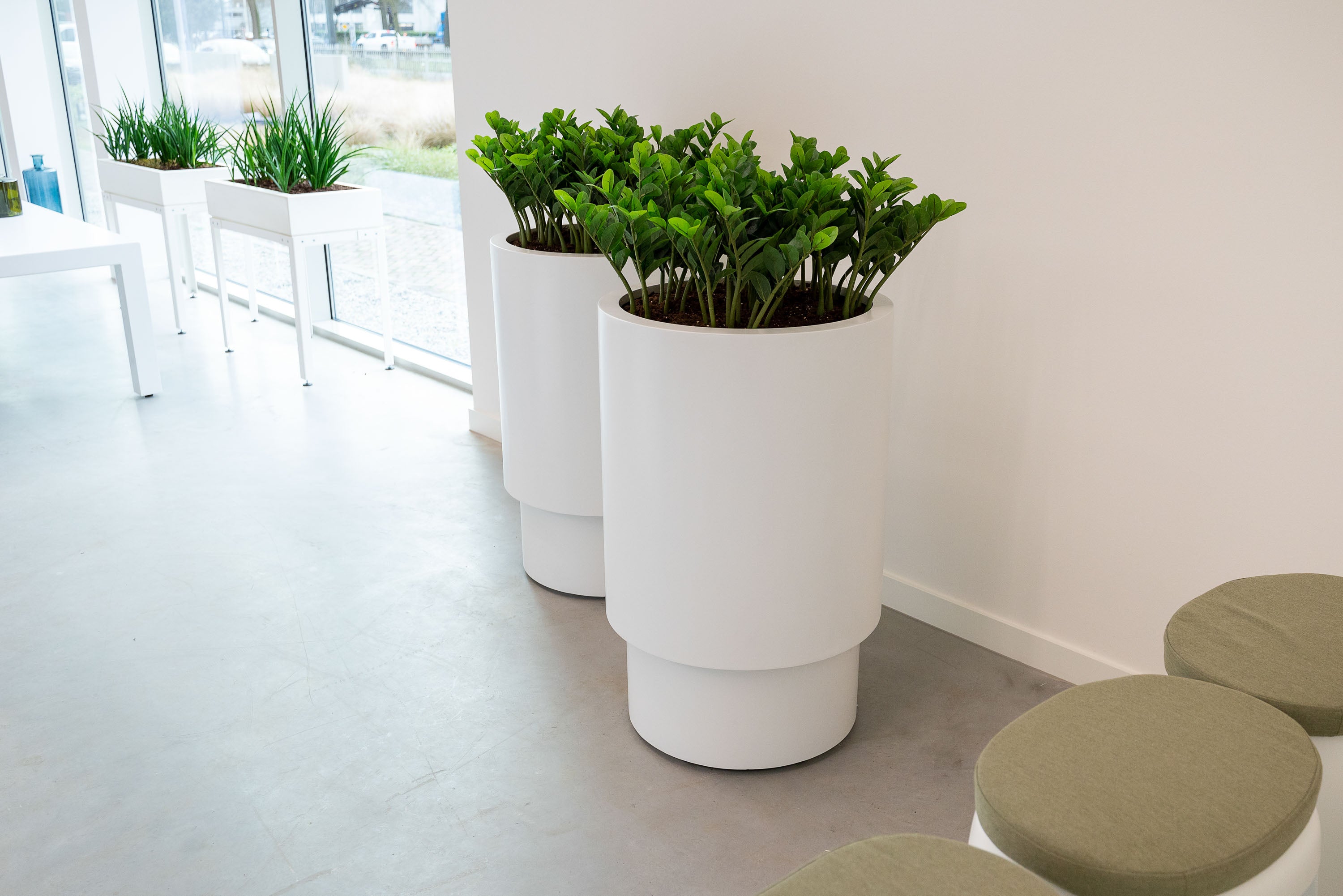 Three tall white cylindrical planters with green leafy plants, arranged in a bright modern interior with light gray flooring and neutral upholstered stools.