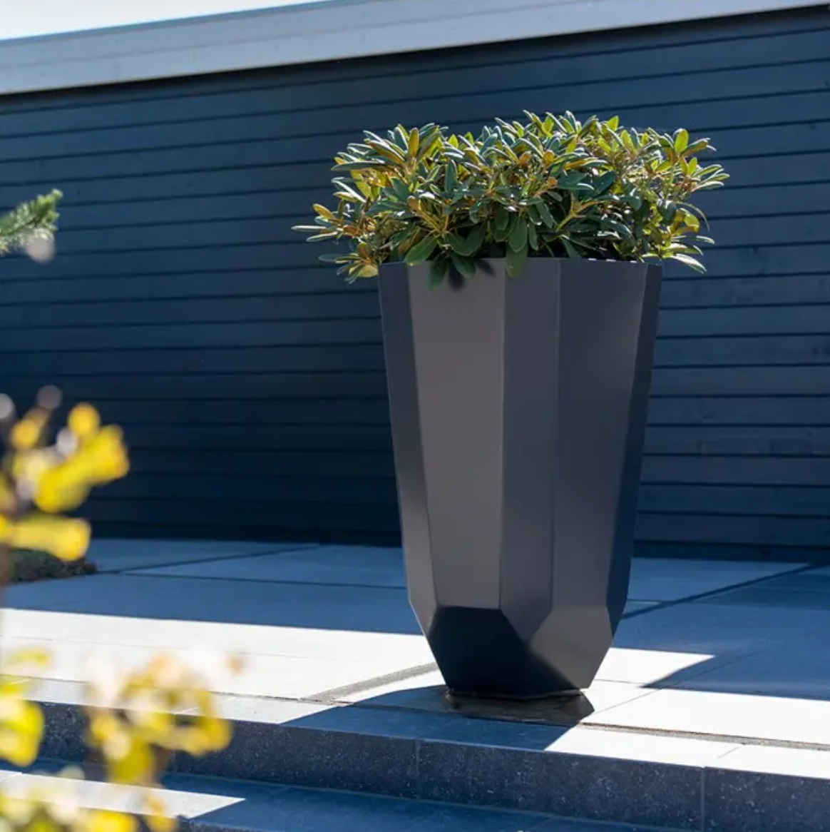 Geometric gray planter with green plant on a blue deck