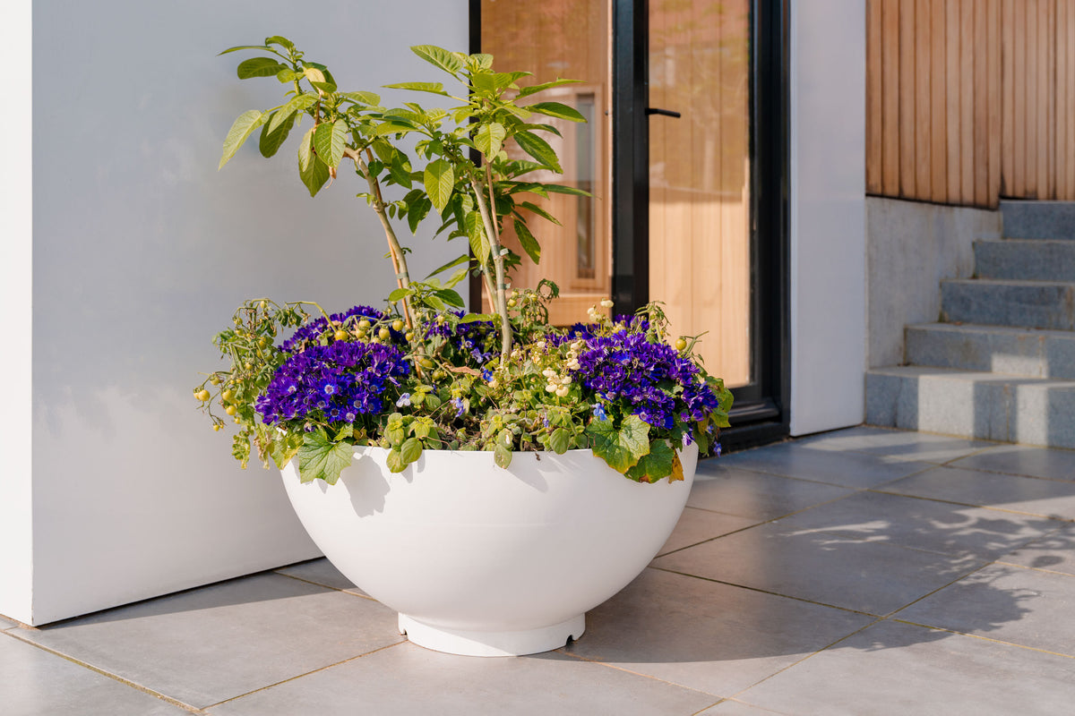 A large white spherical planter filled with green foliage and vibrant purple flowers, placed on a tiled patio in front of a modern building with glass doors and stone steps.