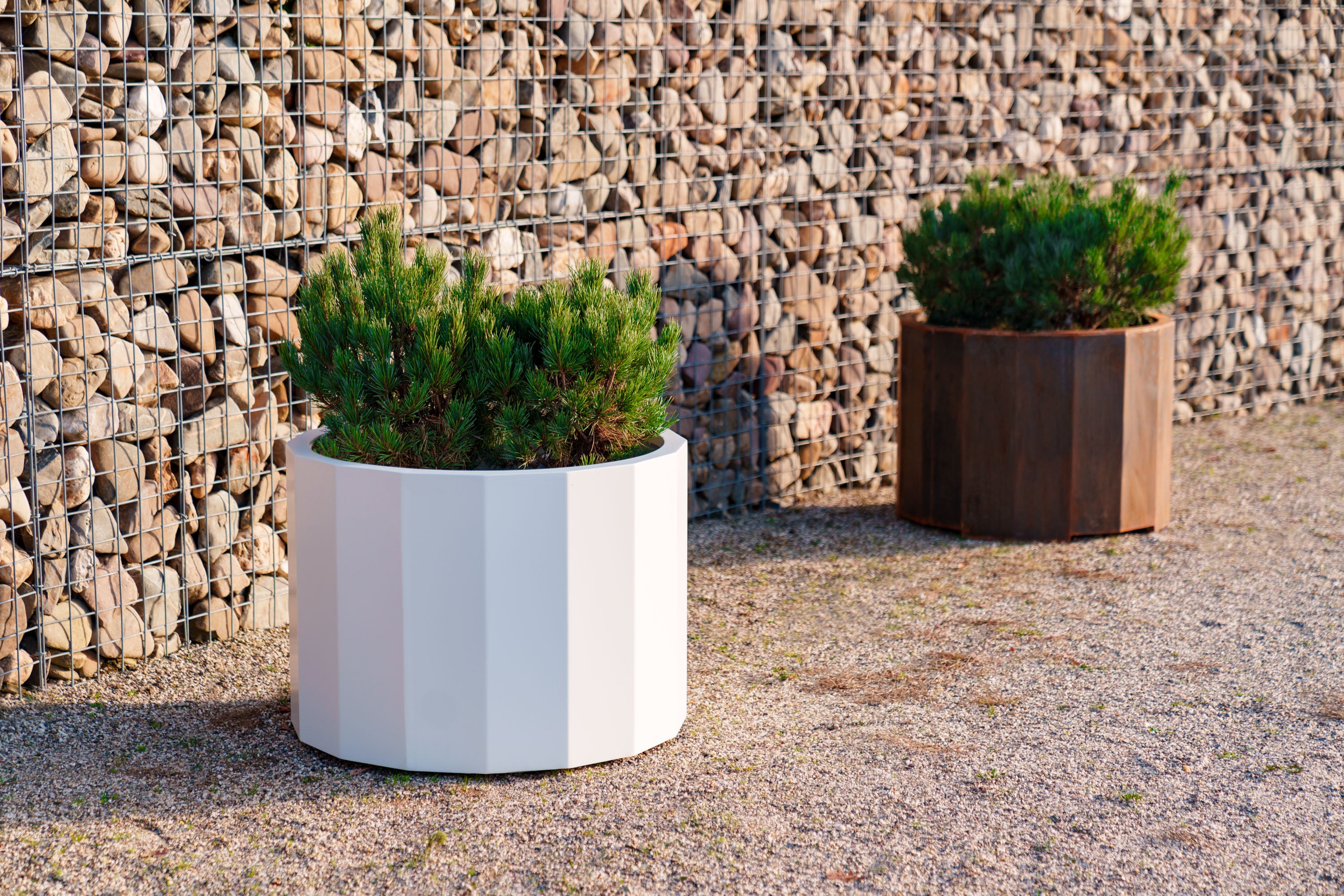 one white and one corten 16 sided round planter. planted with shrubs against a stone wall