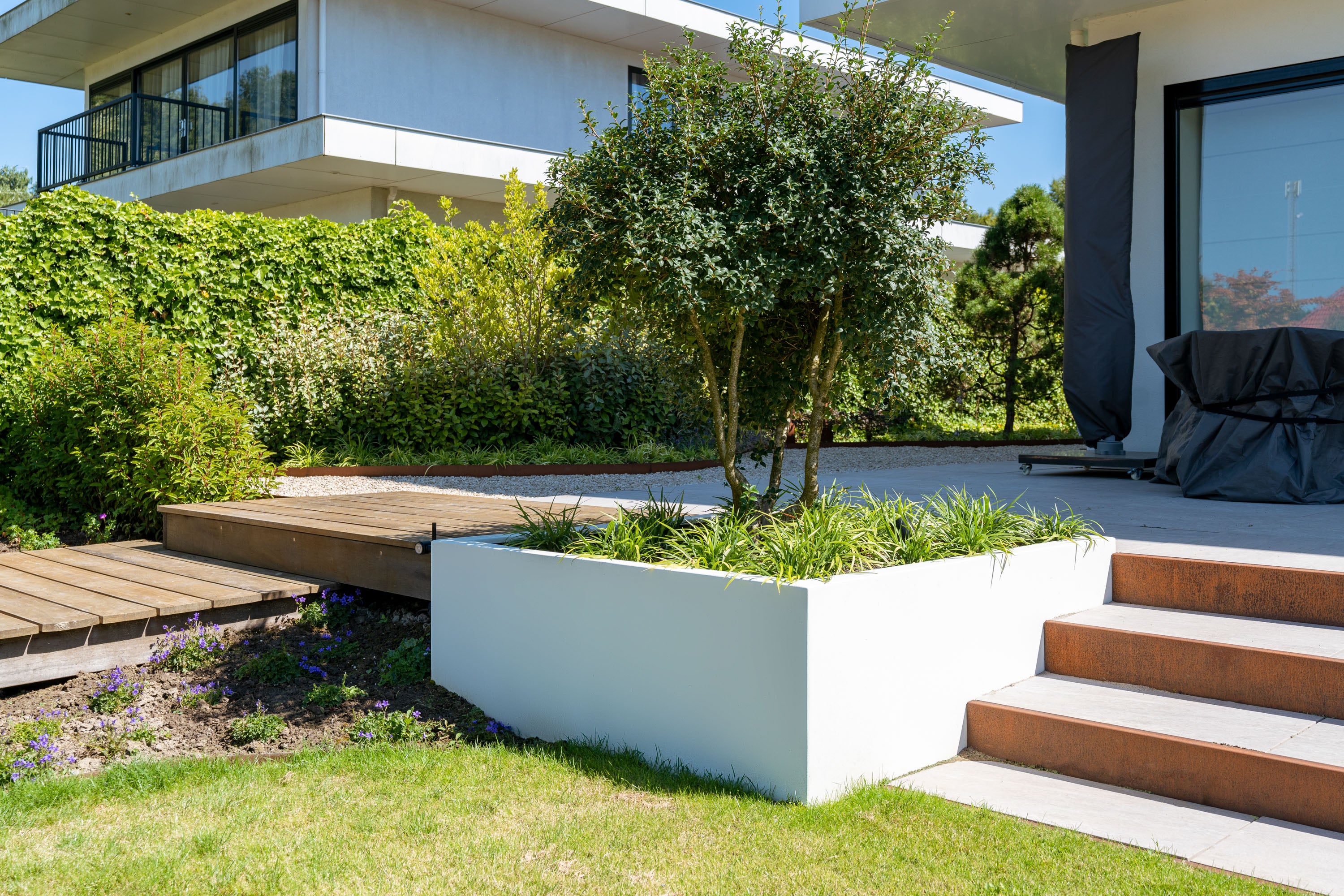 white square planter next to stairs and on a lawn. Planted with grass and a tree