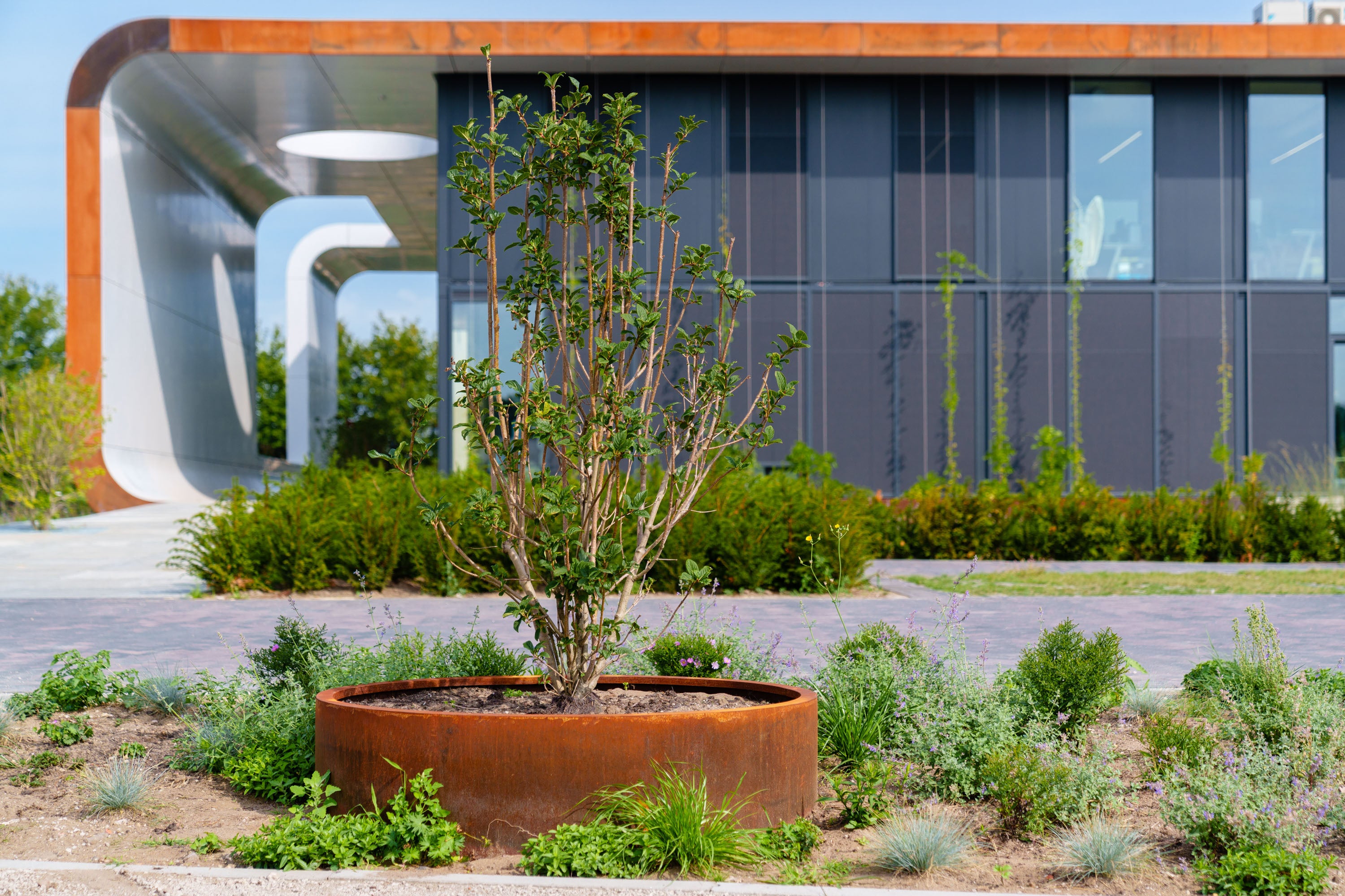 Modern building with a planter containing a small tree and shrubs.