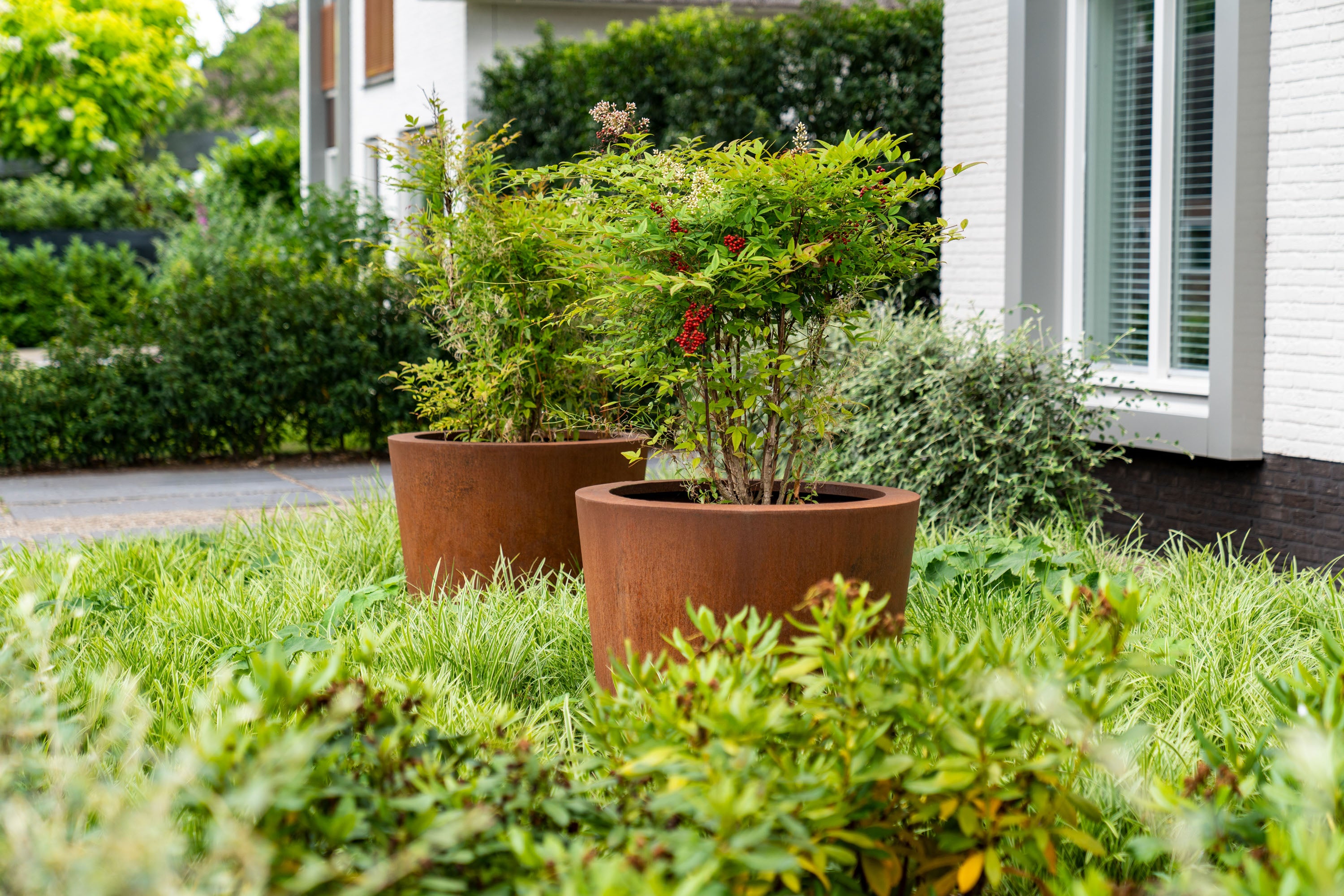 two corten steel pots planted with small trees.  Placed on grass in front of a building 