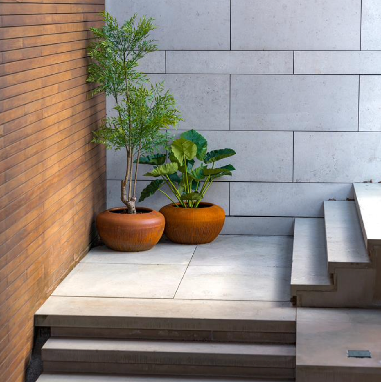 two round rust coloured planters next to wall and steps. planted with tall plants