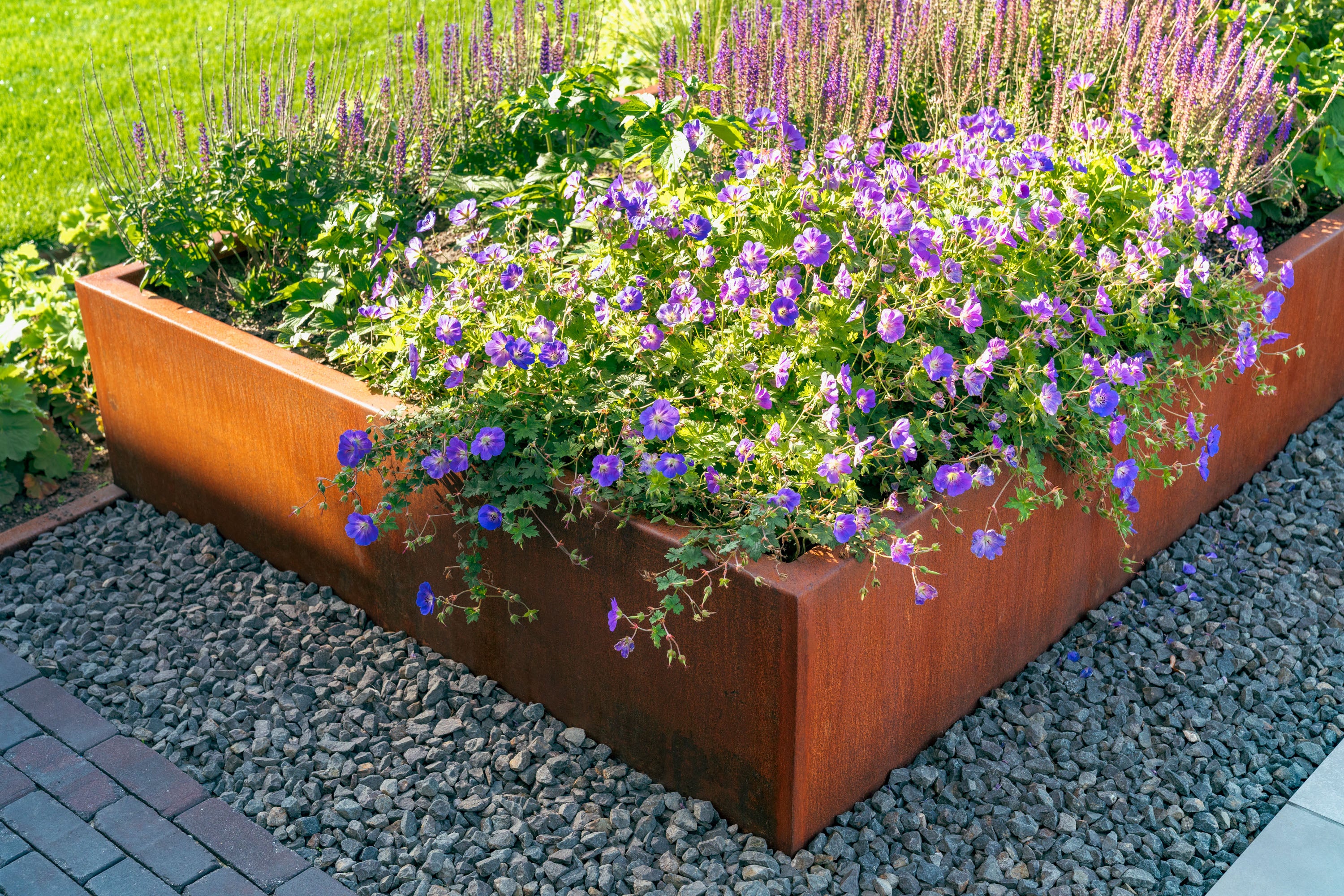 Rust-colored metal planter with purple and green flowers on a gravel surface.