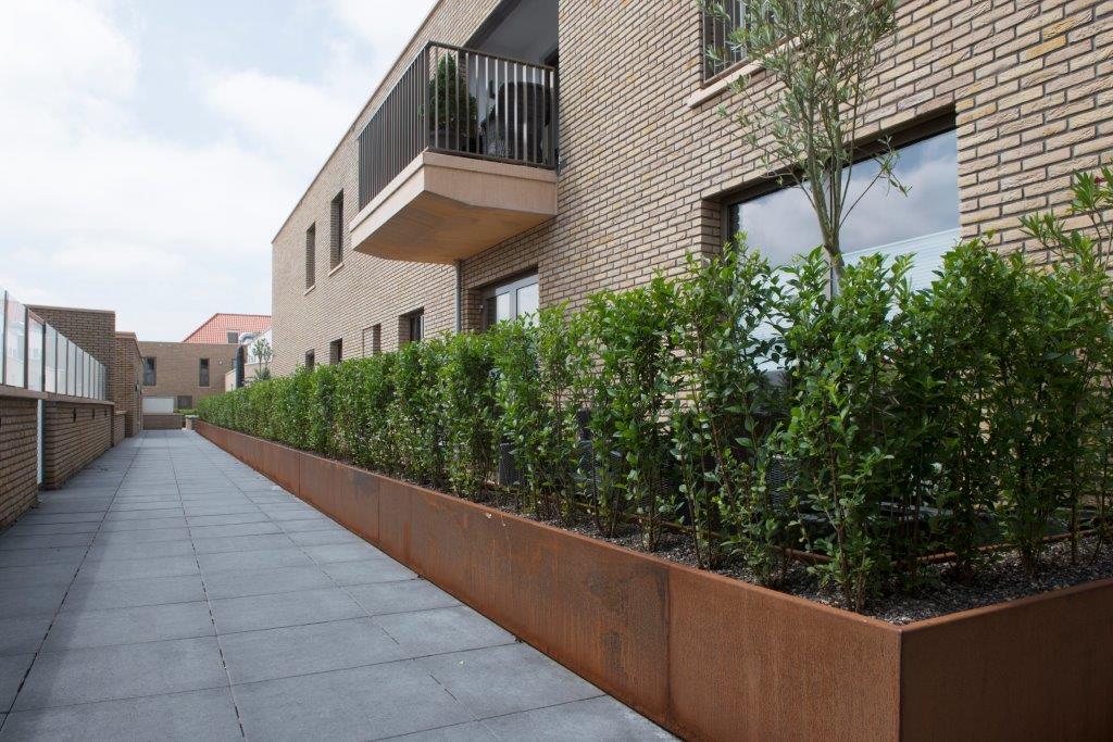 Modern brick building exterior with a long paved walkway, large rust-colored metal planter beds, dense green hedges, and tall windows under a cloudy sky.