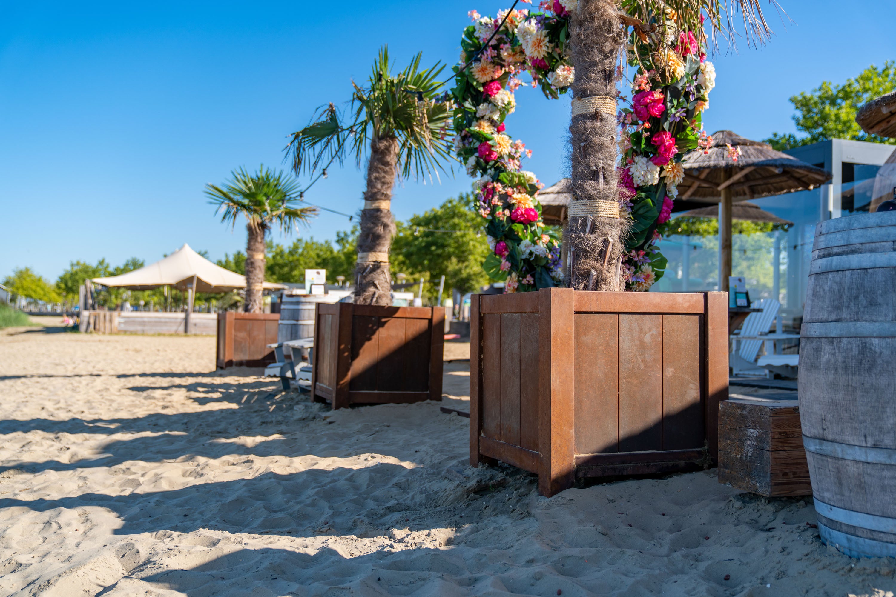 three large square corten planters on beach planted with palms