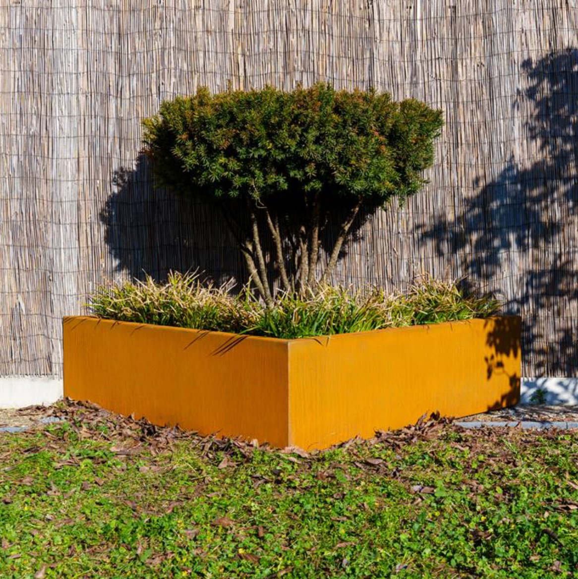 triangle Corten steel garden planter, with tree and shrubs 