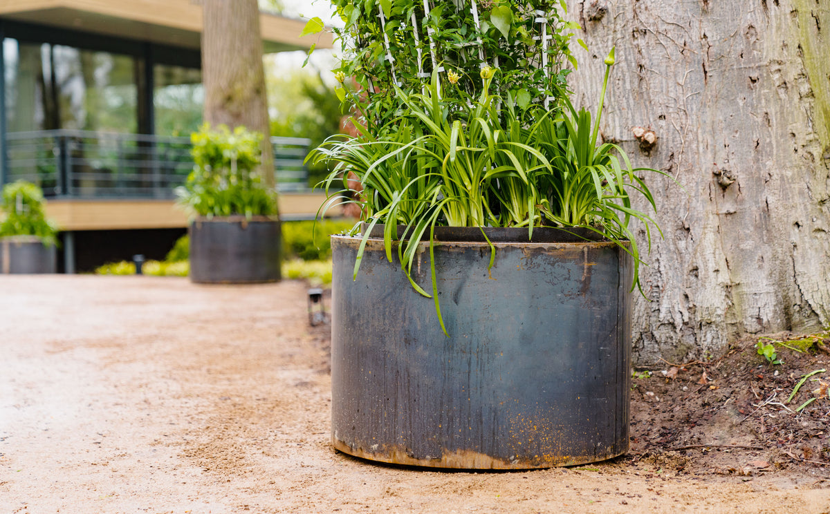 A large cylindrical dark gray metal planter filled with green ornamental grass and foliage, placed outdoors beside a tree trunk on a dirt path.