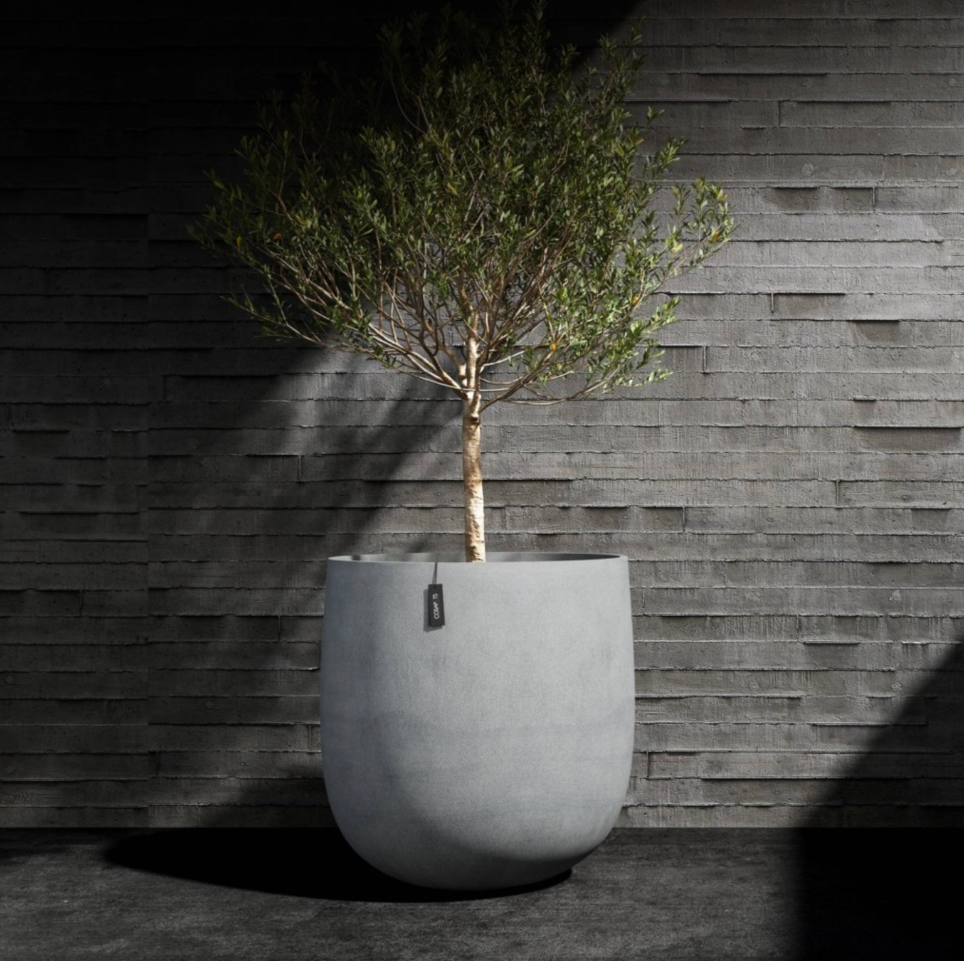 Mondo Cohesa Round Planter