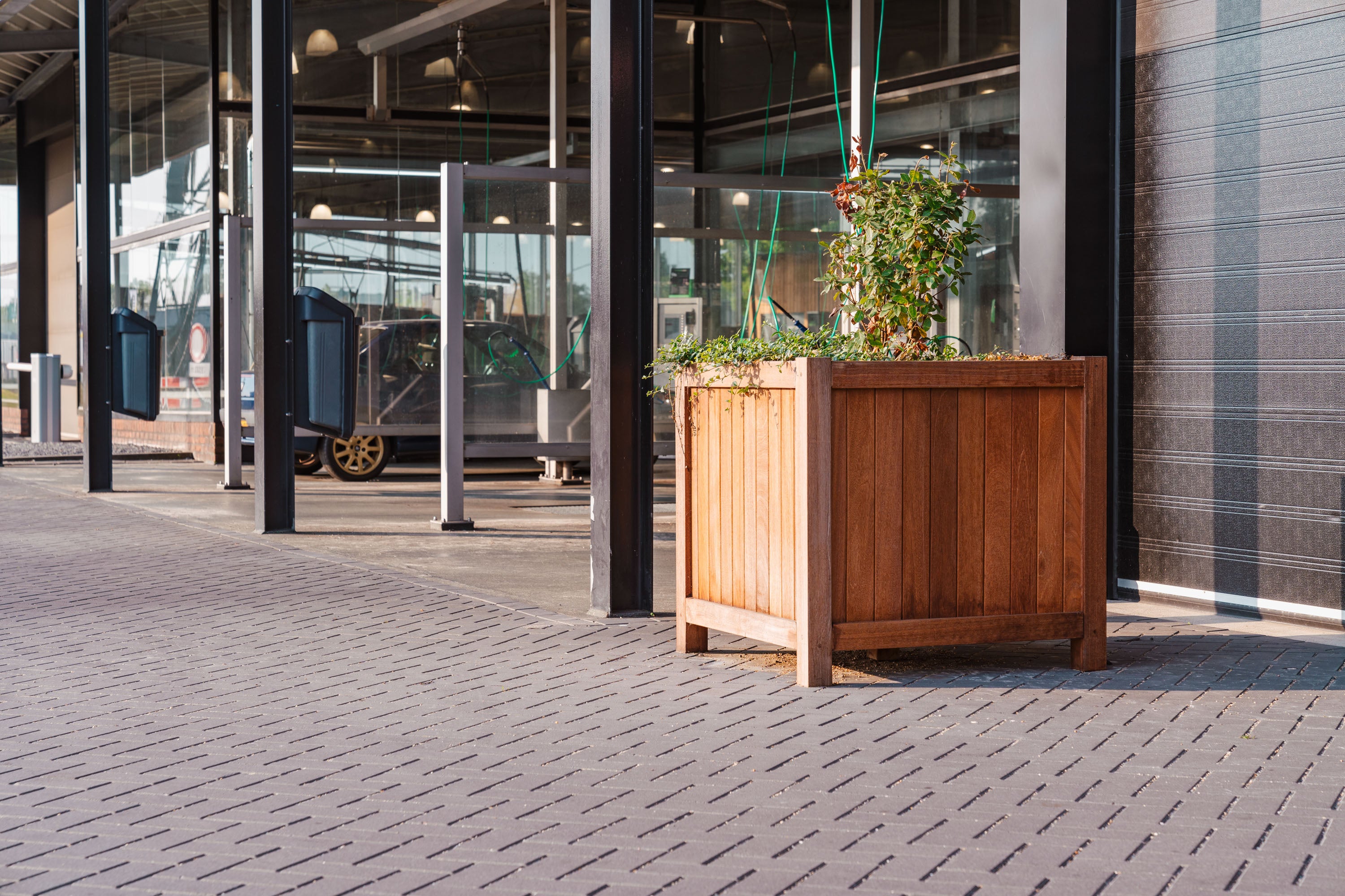 cube timber planter with plants on paving next to a commercial building