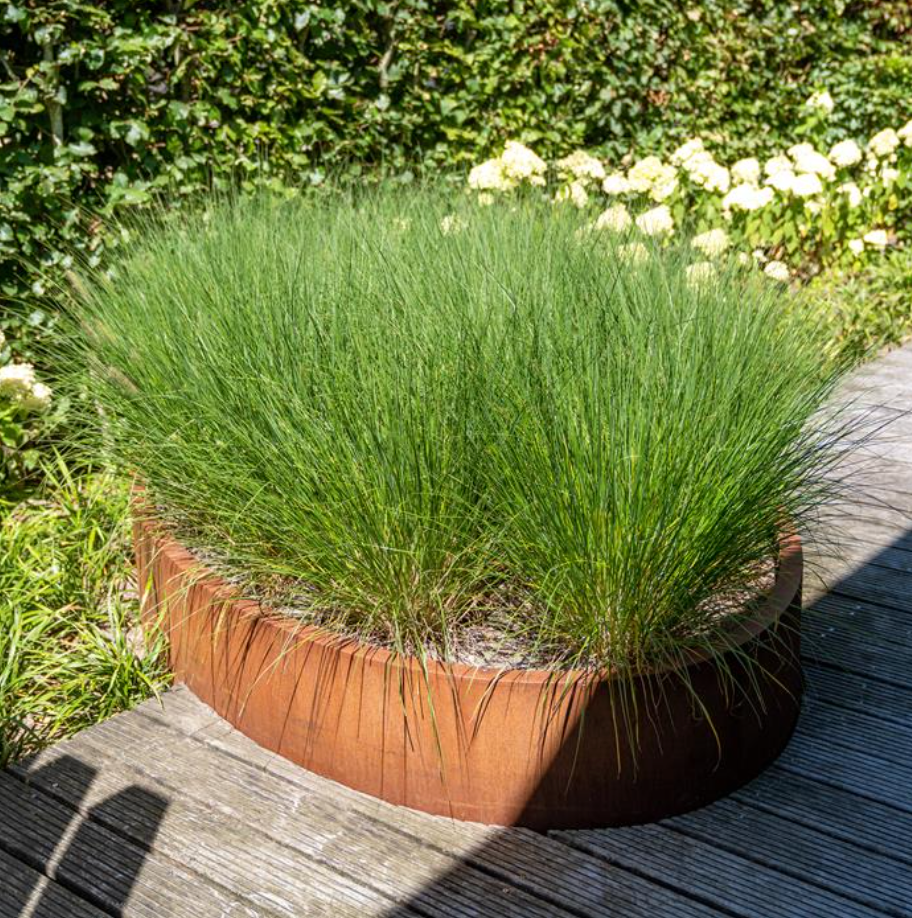 Ellipse Corten Planter