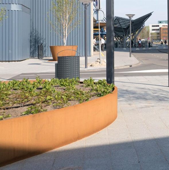 oval corten steel planter with shrubs, situated on pavement
