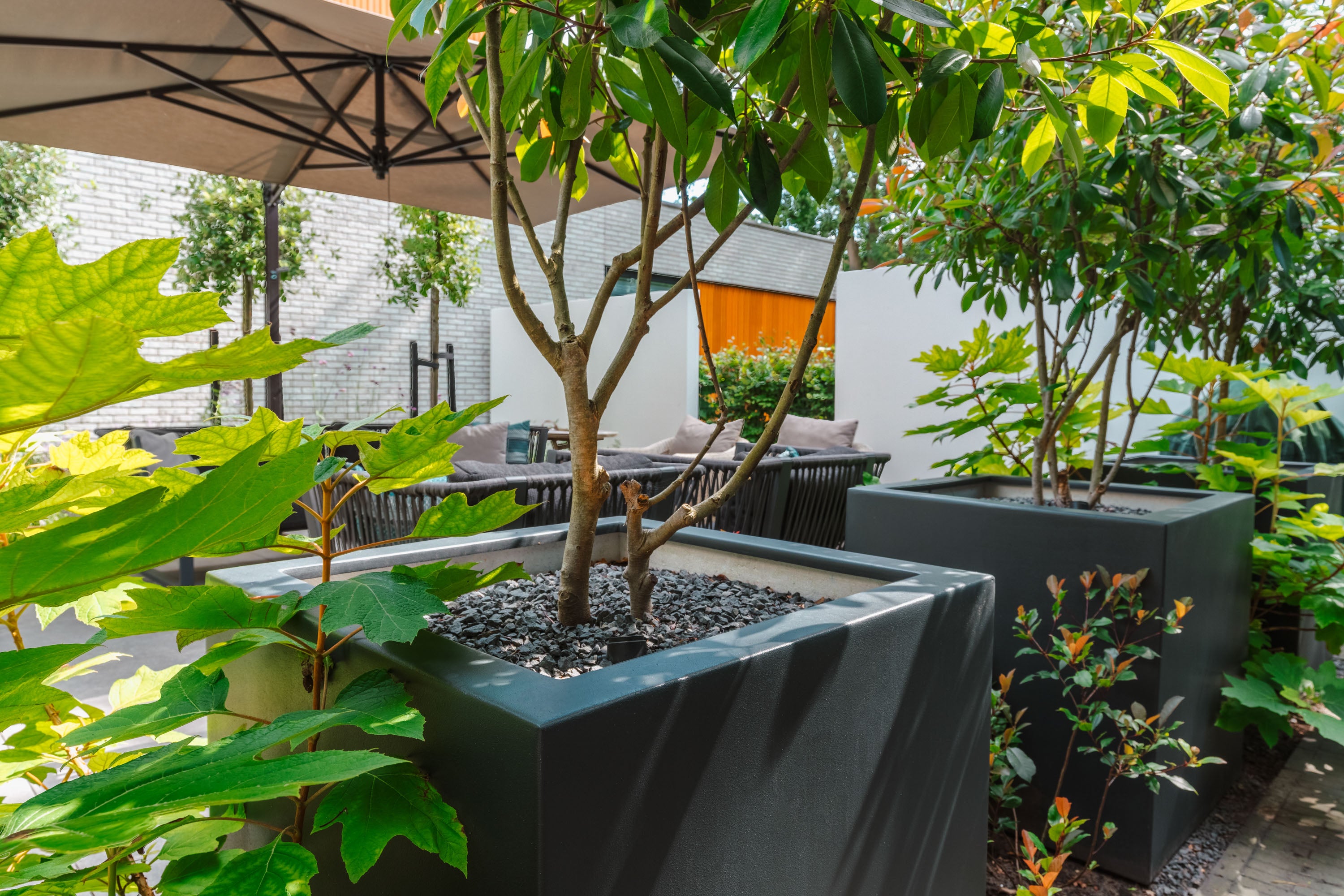 black cube planters planted with trees next to table and chairs