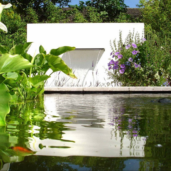 Pond with fish, greenery, and a white wall with waterfall in the background 