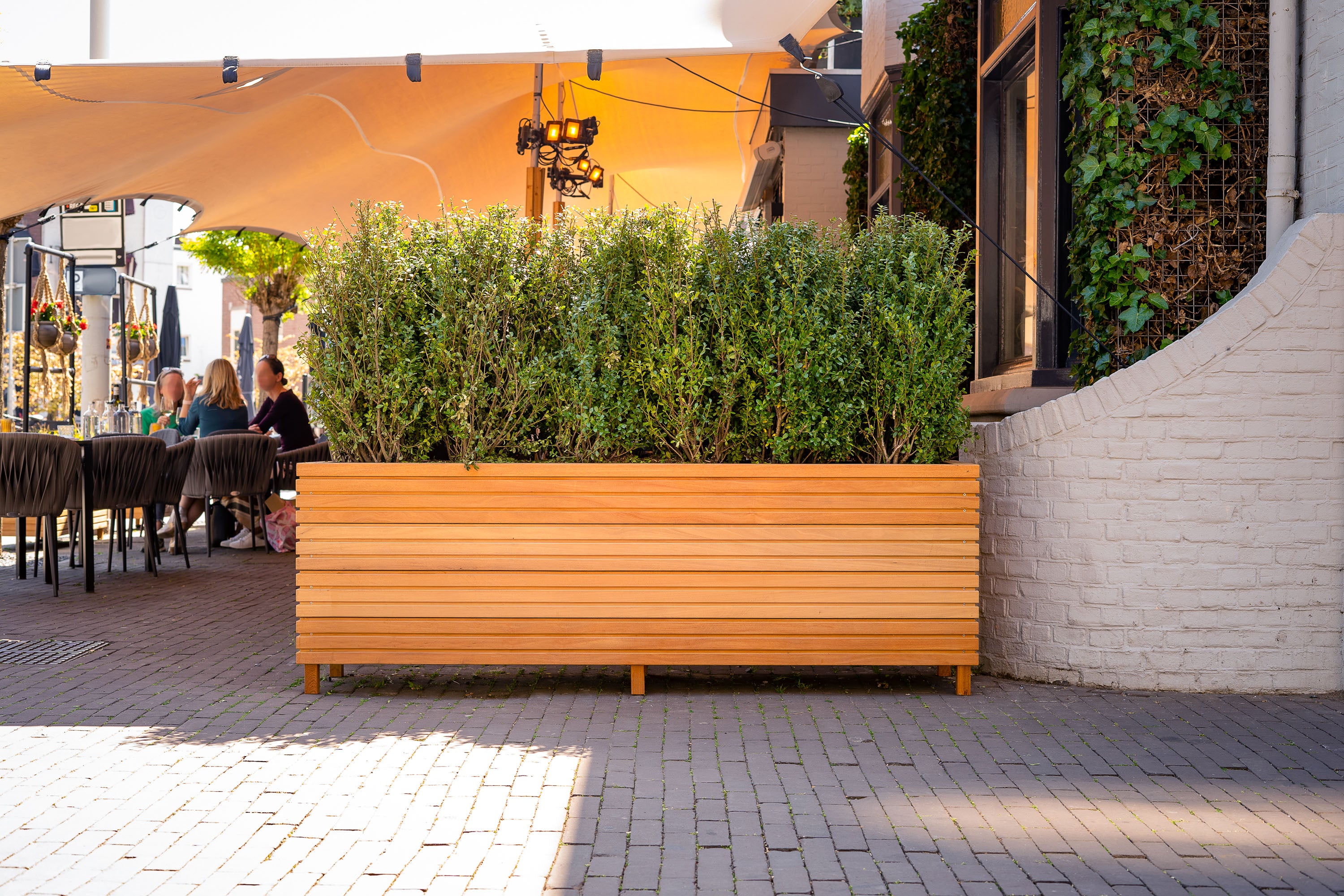 hardwood trough planter with shrubs, on paving outside a restaurant