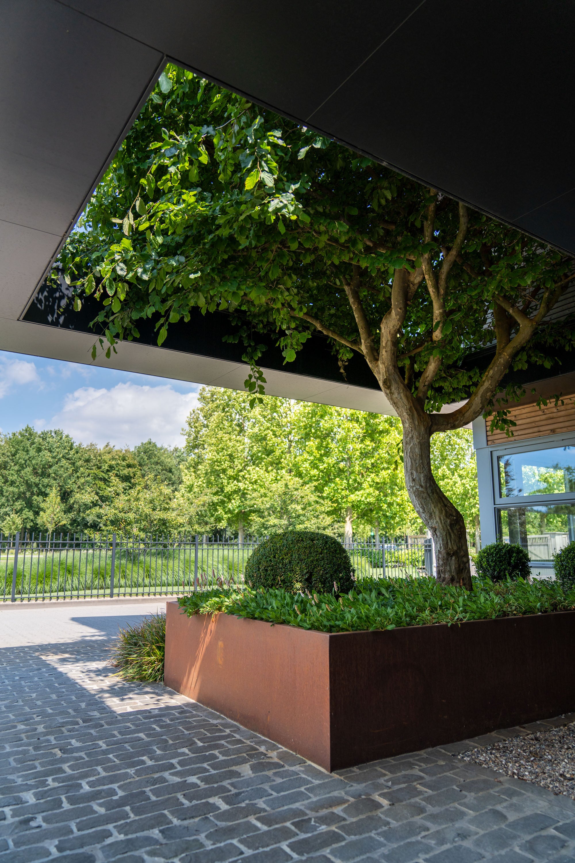 Tree and greenery in a planter box under a modern architectural canopy.