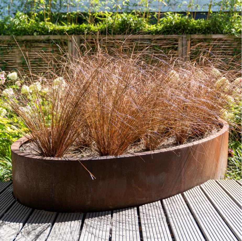 Ellipse Corten Planter