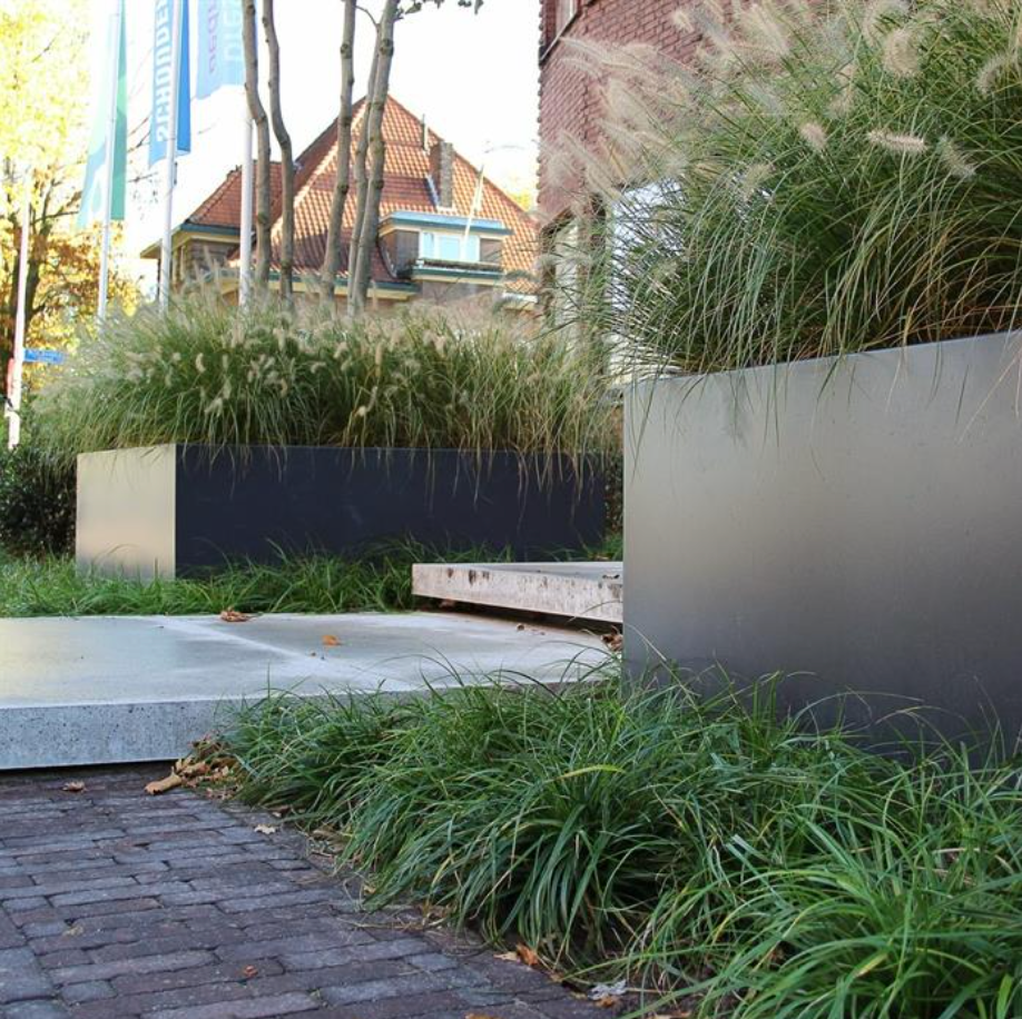 black aluminium raised bed planted with grasses