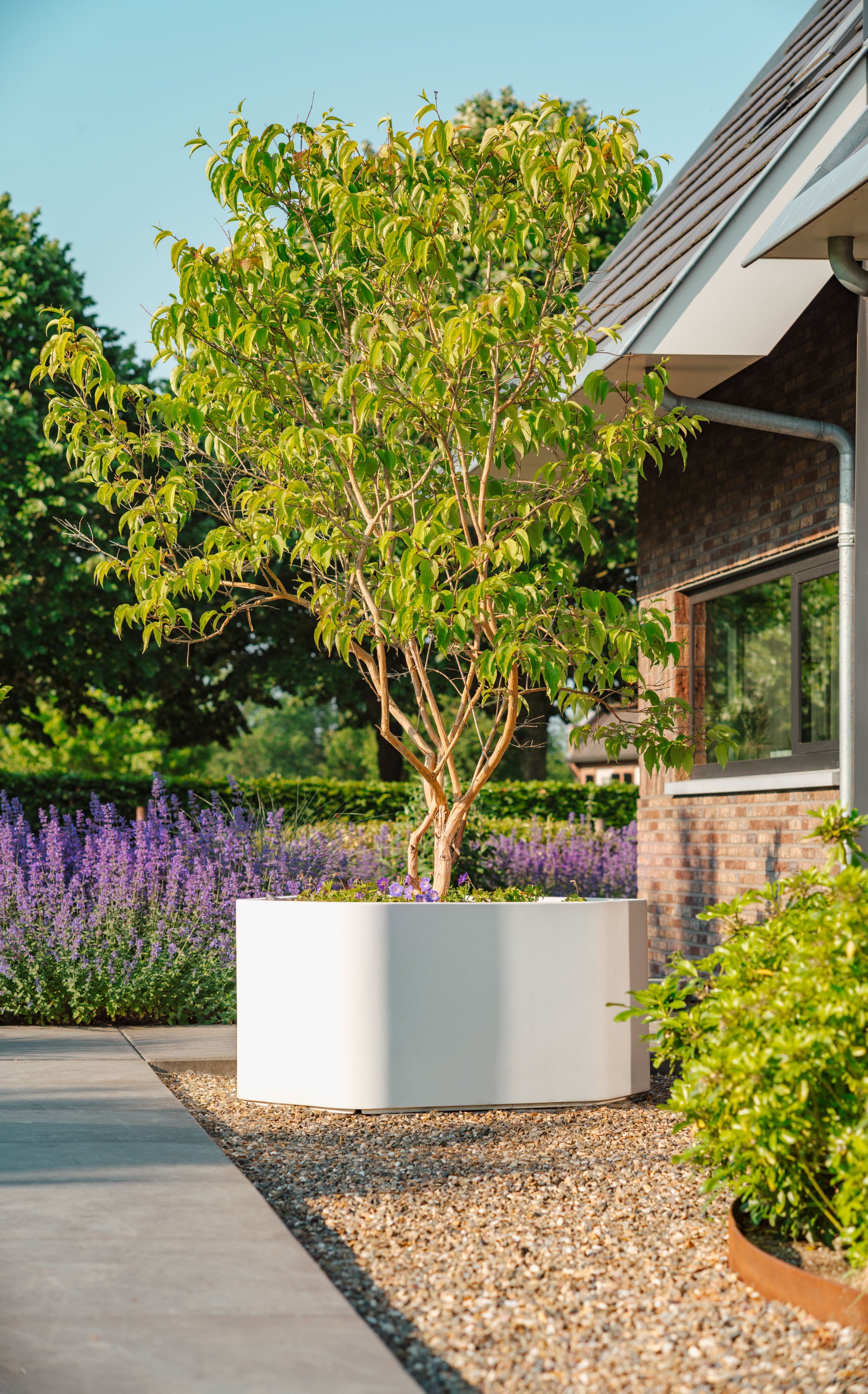 white angular planter with tree on gravel outside a house