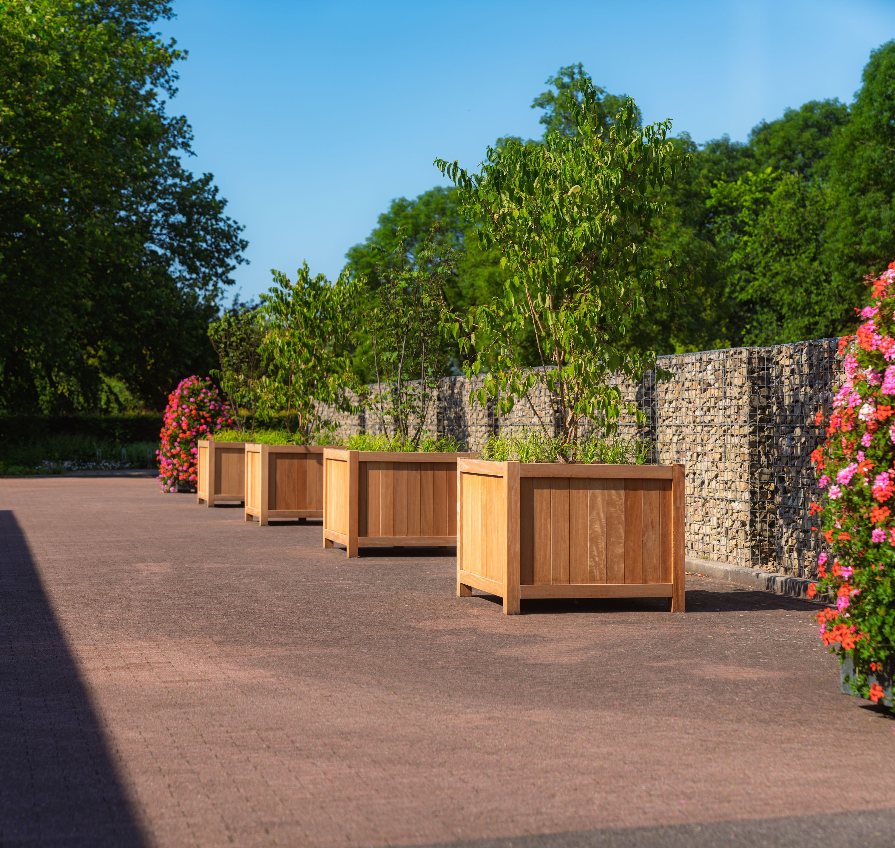 four timber square planters with feet planted with tress, situated on paving next to a wall