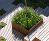 square corten garden planter set on wooden decking and planted with trees and shrubs