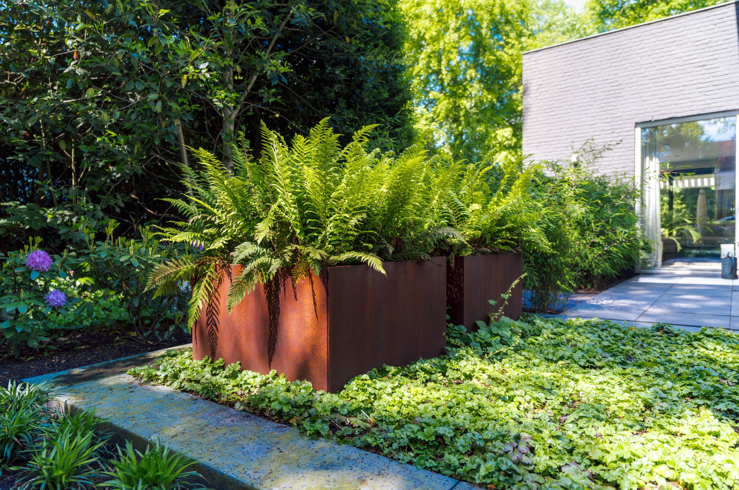 two corten planters with ferns outside a house