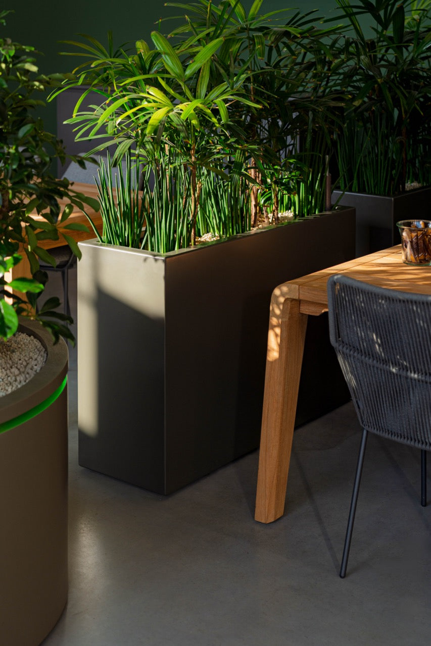 Indoor setting with a wooden table, chair, and large planters with greenery.