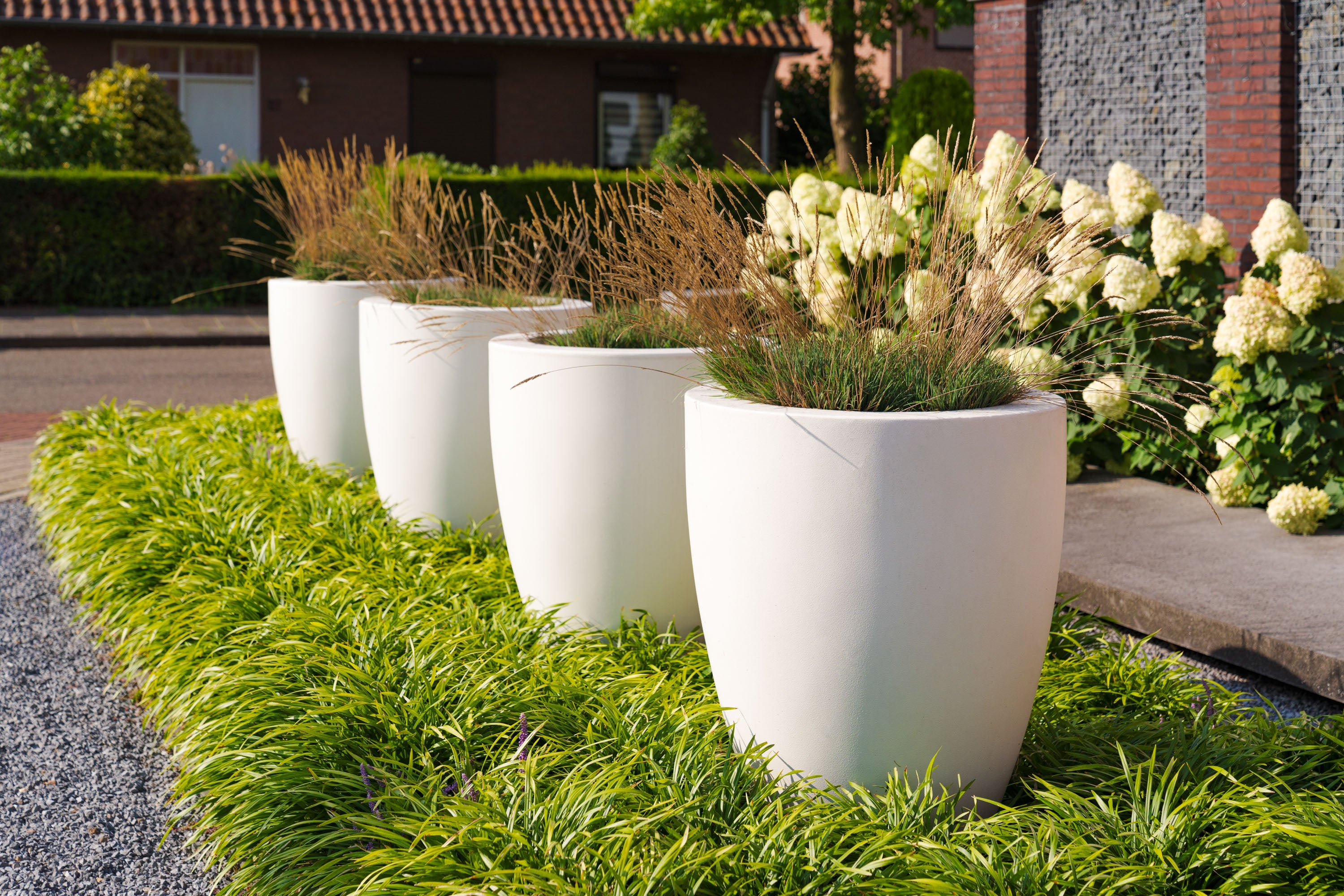 Row of white planters with greenery on a grassy area