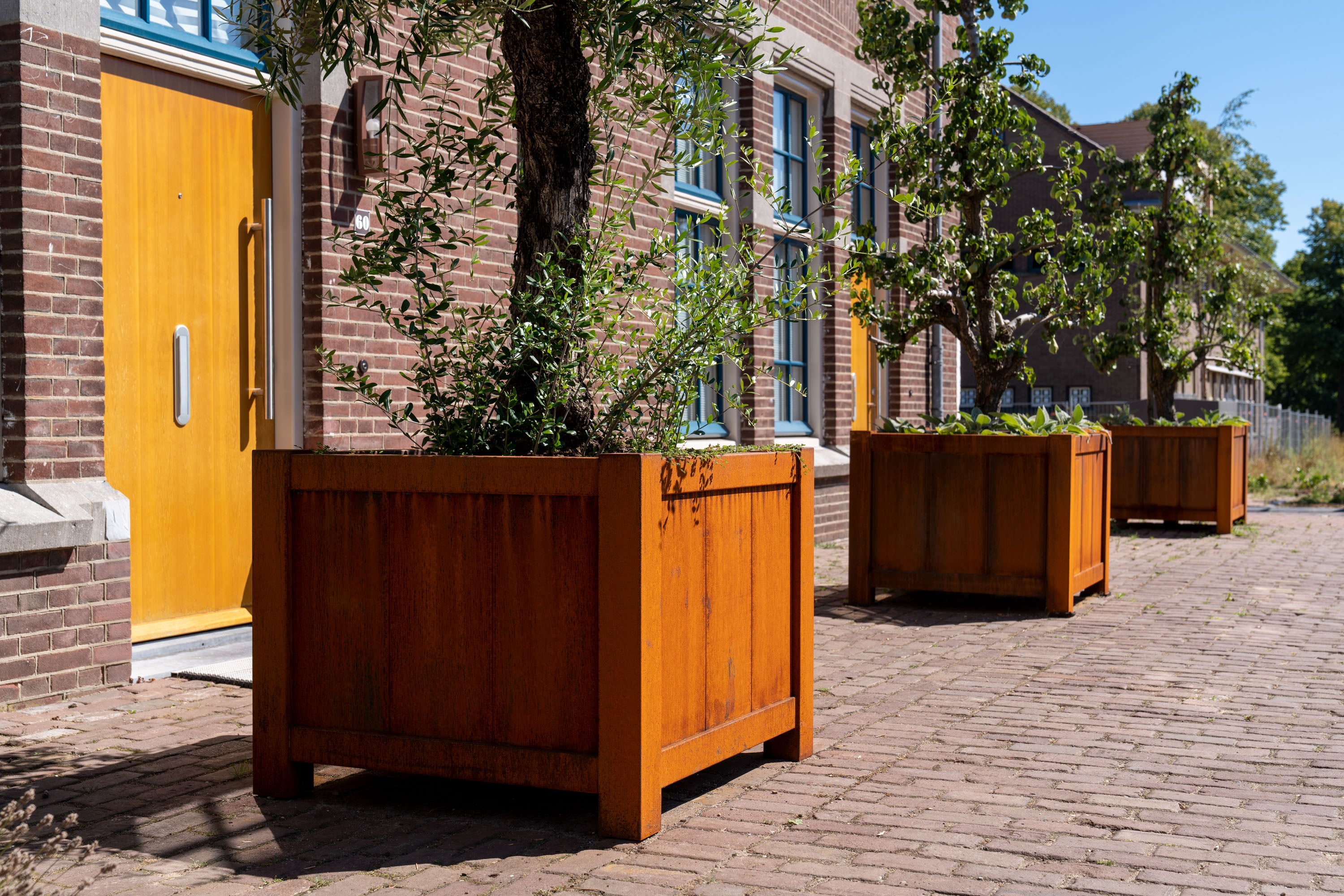 three large square corten planters with trees on brick paving 