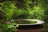 corten water bowl in woodland setting