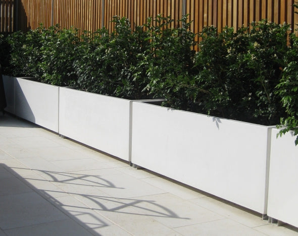 row of white fibreglass trough planters, planter with shrubs 