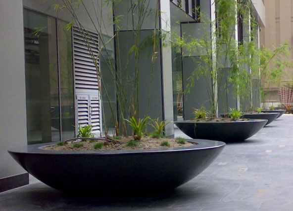 row of black dish fiberglass garden planter, planted with bamboo