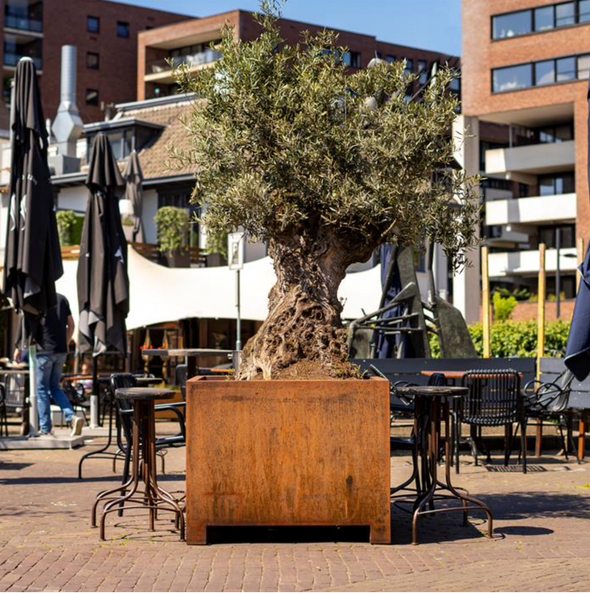 square corten steel planter with feet, planted with a tree, situated in a outside cafe area