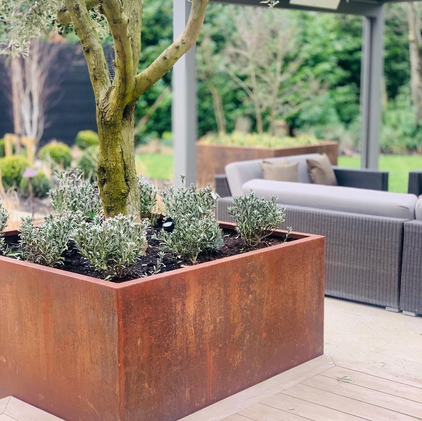 corten Steen garden planter. Planted up with a tree & shrubs