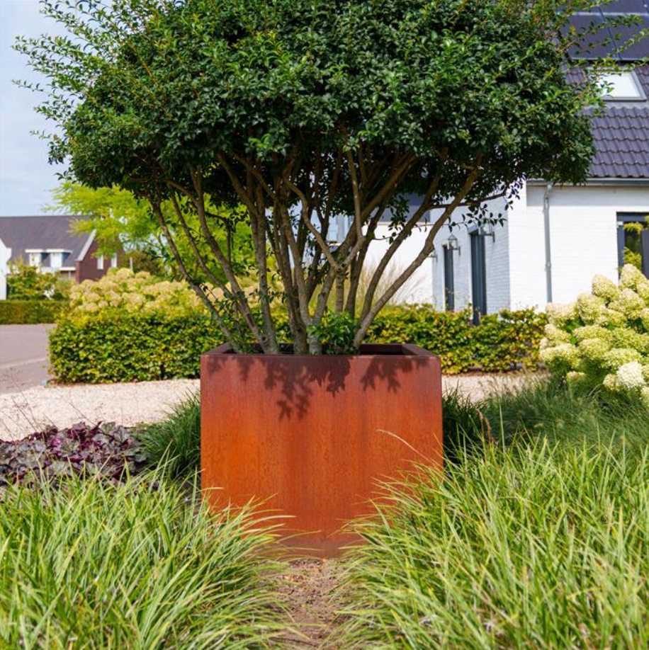 corten steel cube garden planter with trees