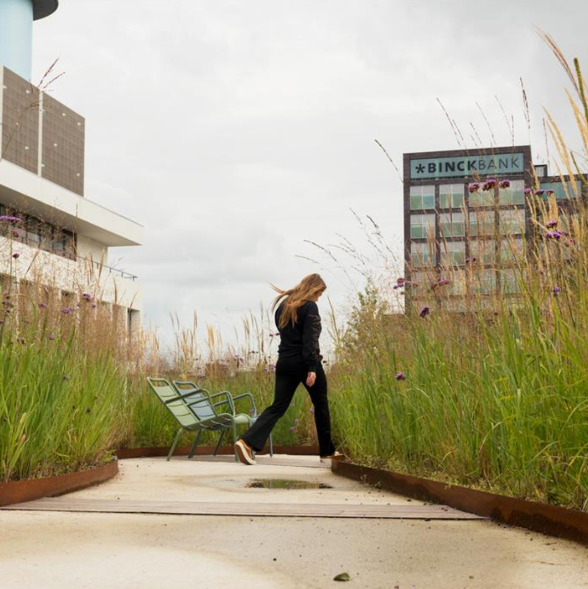 straight sided corten garden edging surrounding plant beds and path