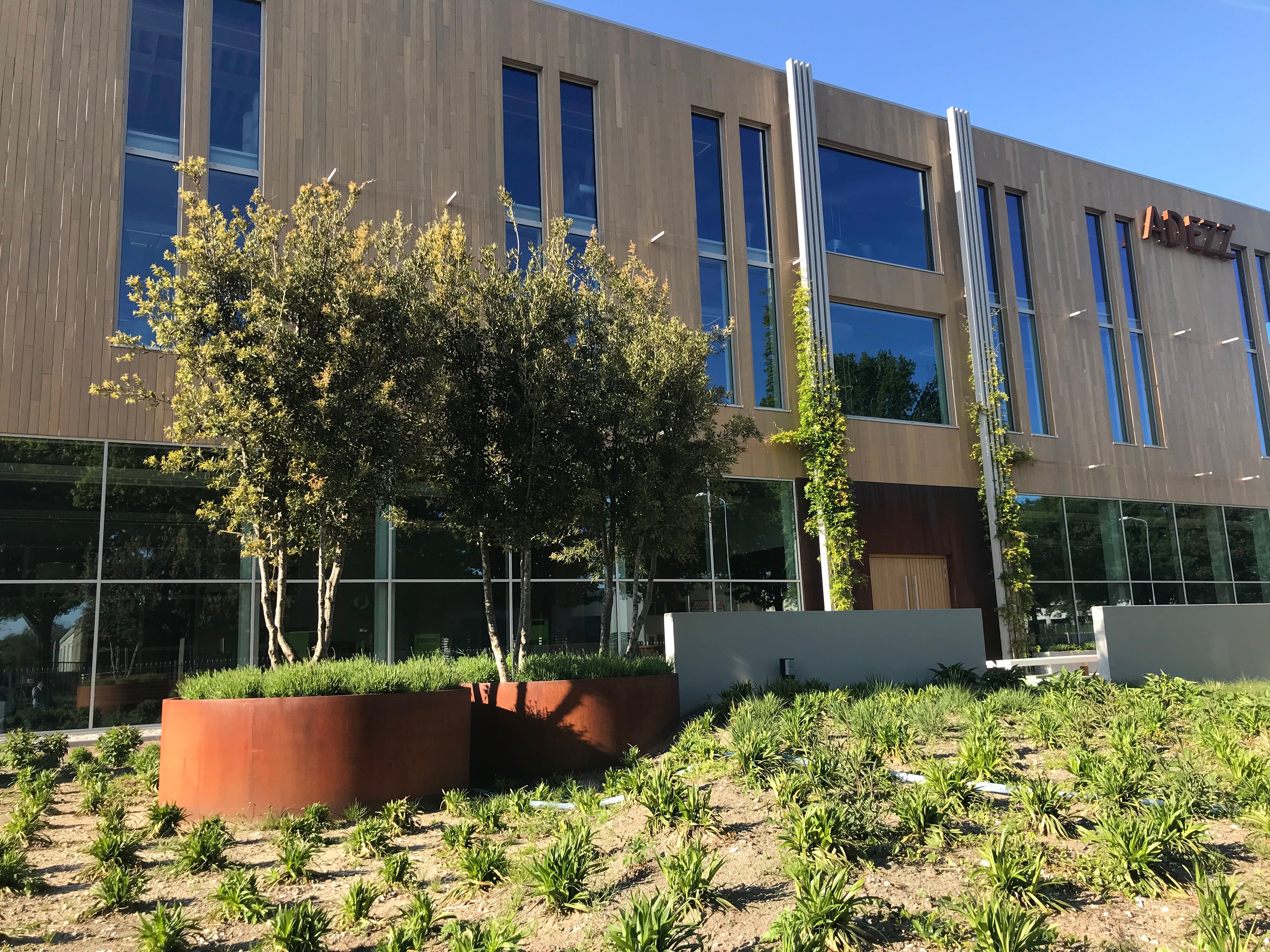 large round corten steel outdoor planters, planted with trees and shrubs. 