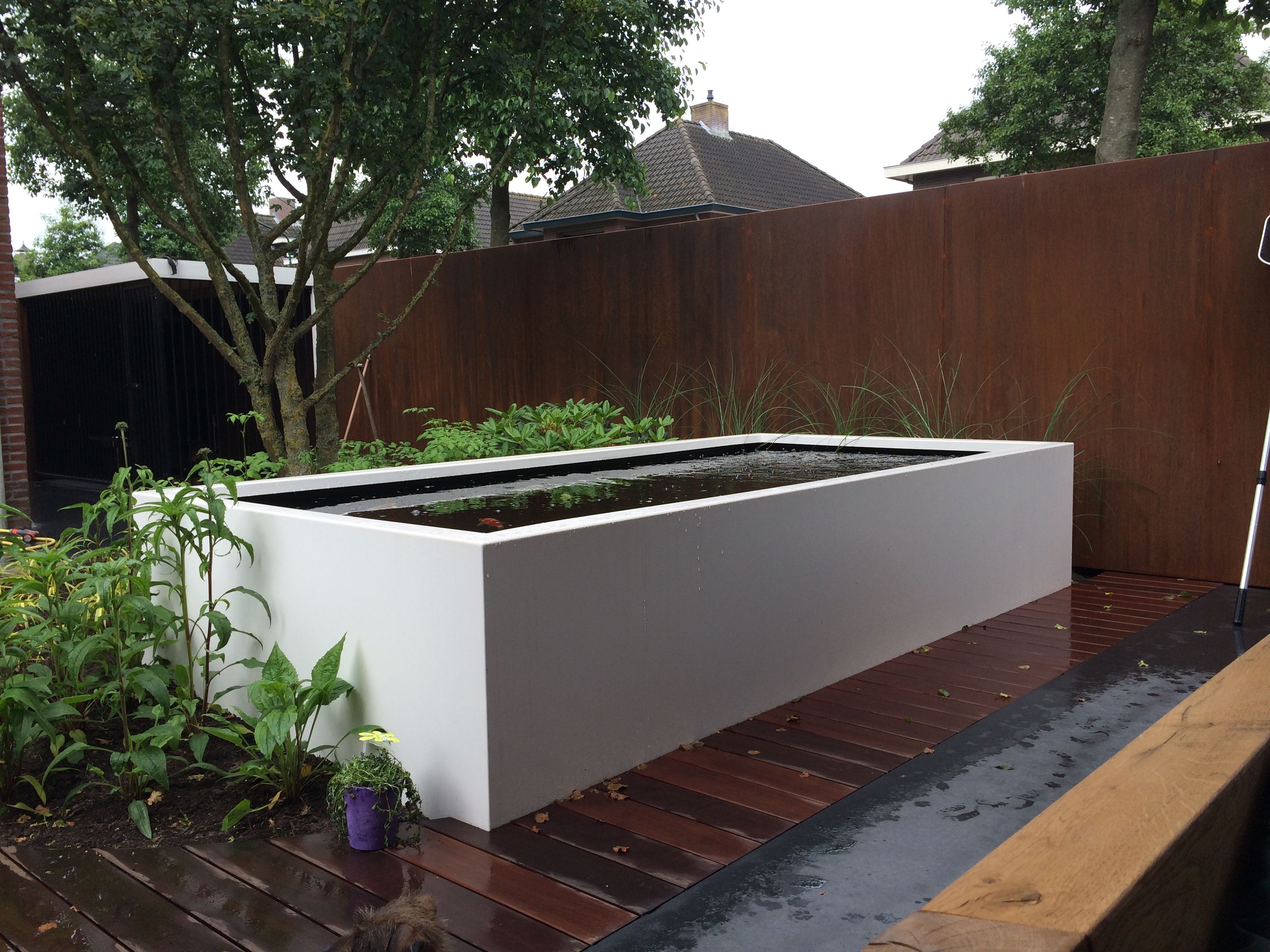 white aluminium rectangular pond filled with water