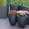 two round black fiberglass garden pots