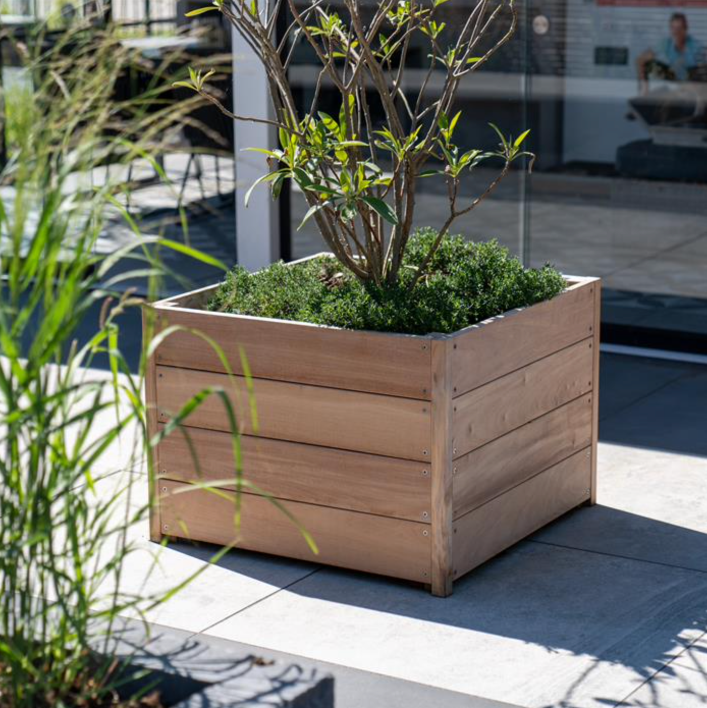 hardwood cube garden planter